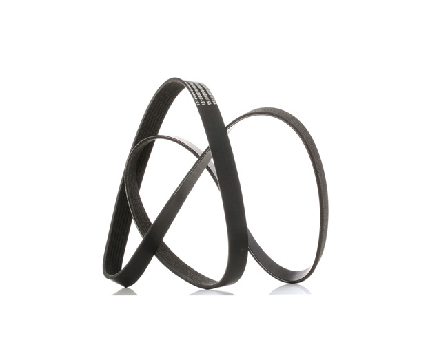 Acquista online RIDEX Cinghia servizi Art.: 305P0237