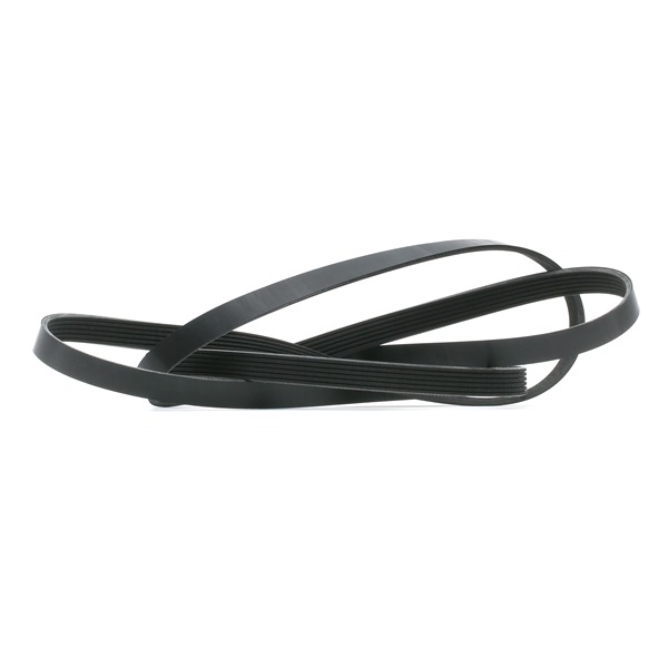 Original RIDEX Keilrippenriemen online kaufen