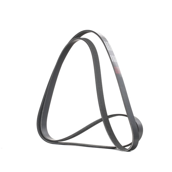 Acquista Cinghia servizi da RIDEX 305P0093 a buon mercato per soli 9,57 €