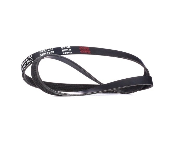 Achetez des Courroie Poly-V RIDEX 305P0159 à prix pour 5,98 €