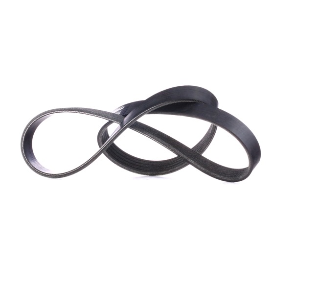Keilrippenriemen von RIDEX für 106 I (1A, 1C) günstig online kaufen