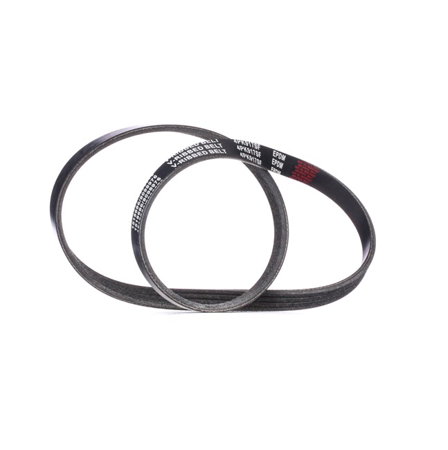 Achetez des Courroie Poly-V RIDEX 305P0305 à prix pour 10,36 €
