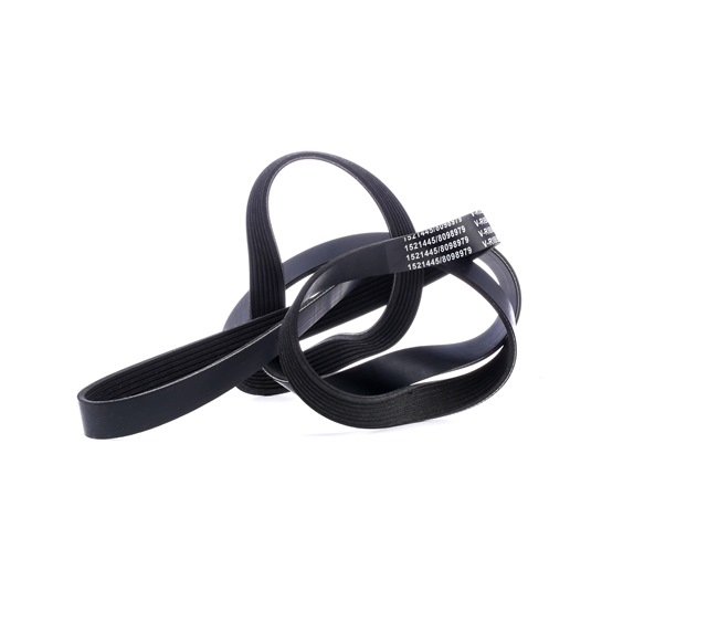 Online Shop für Keilrippenriemen von RIDEX EAN: 4059191251131