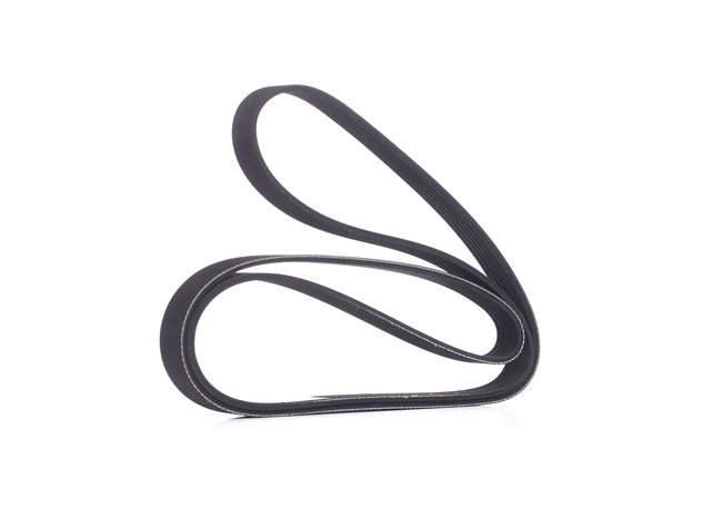 Achetez des Courroie Poly-V RIDEX 305P0308 à prix pour 15,83 €