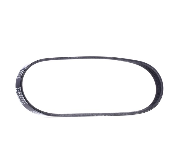 Acquista Cinghia servizi da RIDEX 305P0117 a buon mercato per soli 9,45 €