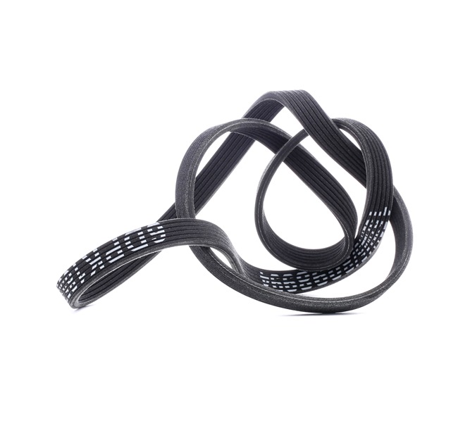 Acquista online RIDEX Cinghia servizi Art.: 305P0209