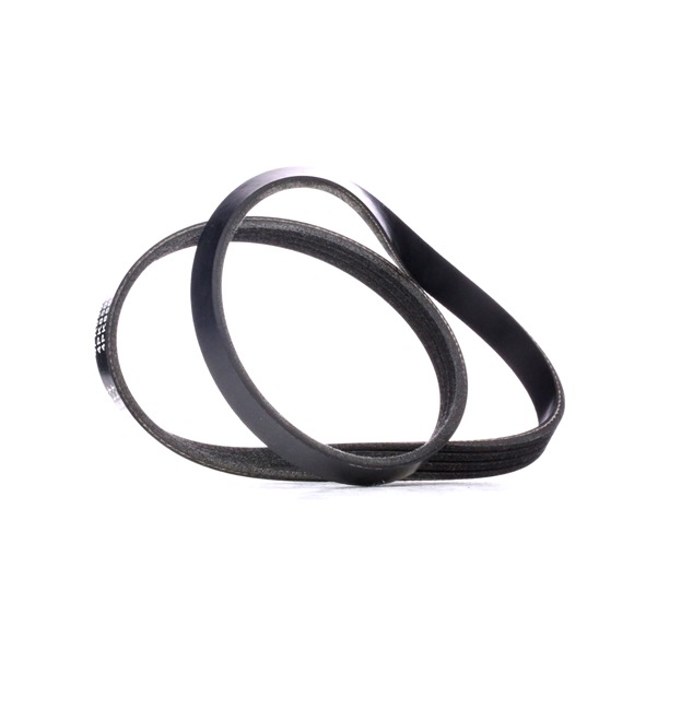 Online Shop für Keilrippenriemen von RIDEX EAN: 4059191251322