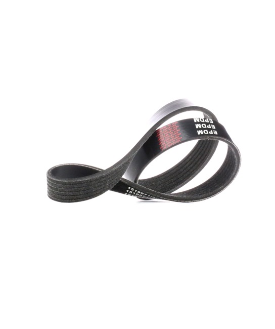 Achetez des Courroie Poly-V RIDEX 305P0194 à prix pour 6,94 €