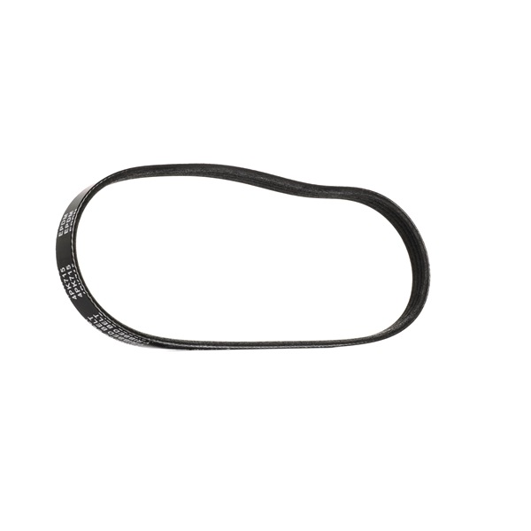 Achetez des Courroie Poly-V RIDEX 305P0217 à prix pour 5,20 €