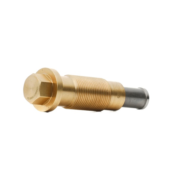 Steuerkettenspanner 571T0015