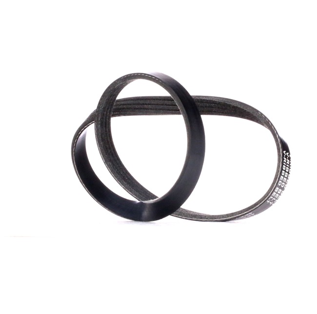 Achetez des Courroie Poly-V RIDEX 305P0381 à prix pour 6,12 €