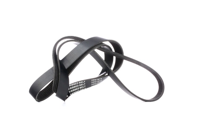 Achetez des Courroie Poly-V RIDEX 305P0327 à prix pour 16,91 €