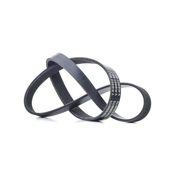 Achetez des Courroie Poly-V RIDEX 305P0334 à prix pour 9,90 €