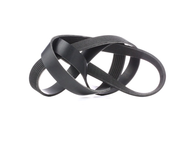 Keilrippenriemen 305P0344 DAF von RIDEX