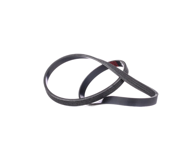 Achetez des Courroie Poly-V RIDEX 305P0351 à prix pour 2,42 €