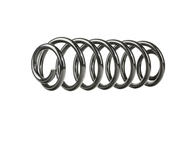 Fahrwerksfeder 188C0007
