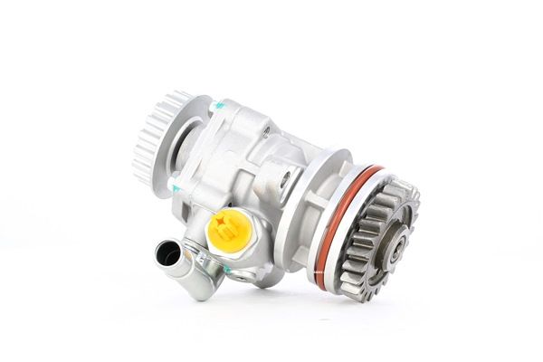 Servopumpe 12H0009