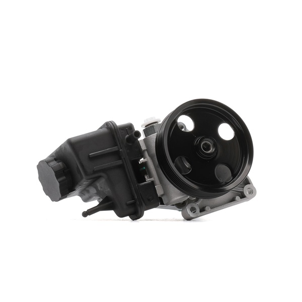 Servopumpe 12H0064