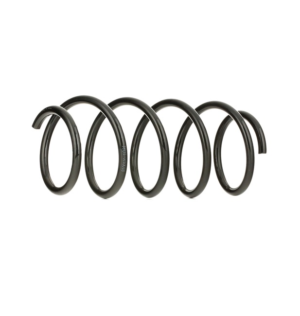 Fahrwerksfeder 188C0021