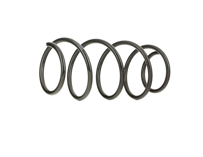 Fahrwerksfeder 188C0055