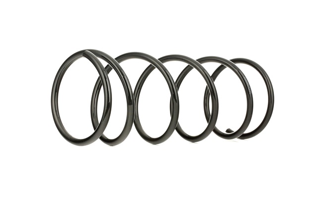 Fahrwerksfeder 188C0018