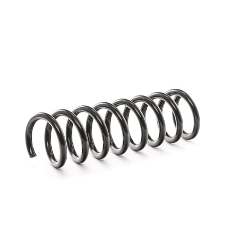 Online Shop für Fahrwerksfeder von RIDEX EAN: 4059191264681