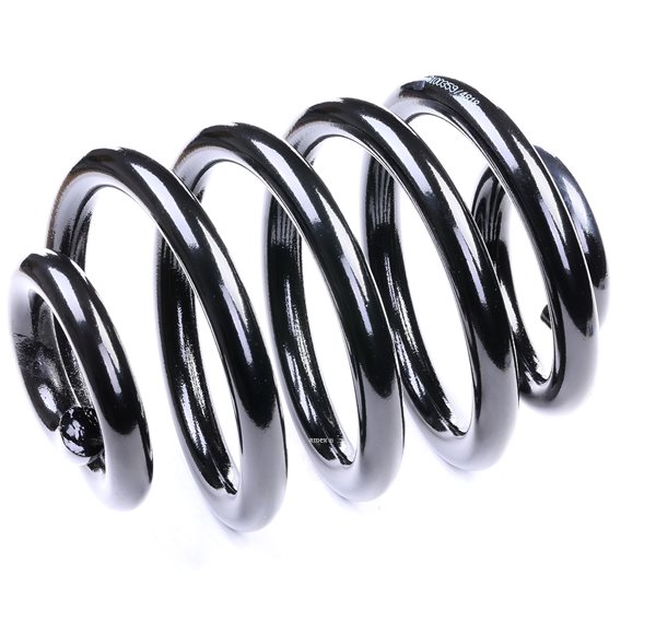 Osta Jousi (auton jousitus) RIDEX:llä 188C0003 edullisesti hintaan 47,27 €