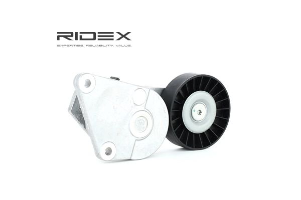 Compre Rolo tensor, correia trapezoidal estriada da RIDEX 310T0076 a um preço baixo por 36,21 €
