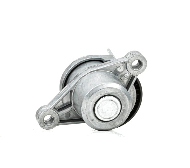 Spannrolle, Keilrippenriemen 310T0084 PEUGEOT von RIDEX