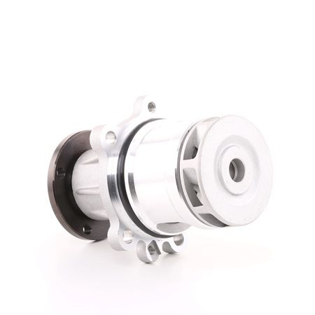 Osta Vesipumppu RIDEX:llä 1260W0201 edullisesti hintaan 39,21 €