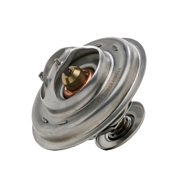 RIDEX 316T0030 Termostat PORSCHE Cayenne (9PA)