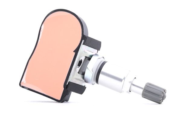 Reifendruck-Kontrollsystem (RDKS) 2232W0006 für MINI