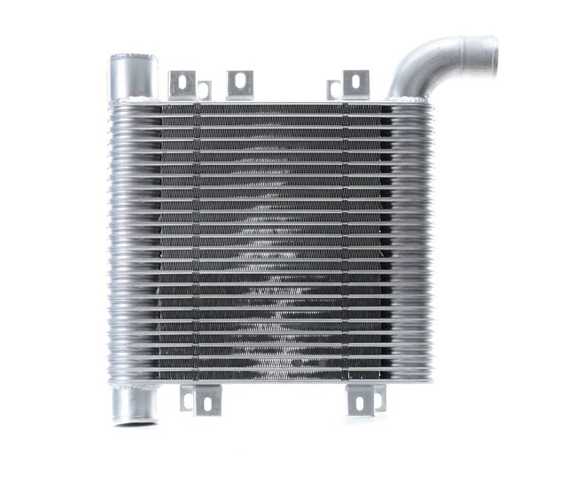 Compre Intercooler da RIDEX 468I0027 a um preço baixo por 170,56 €