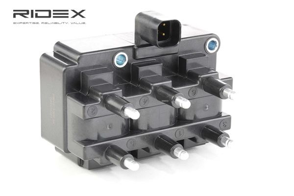 Acquista online RIDEX Bobina d'accensione Art.: 689C0201