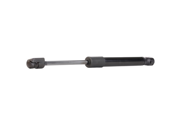 Heckklappendämpfer 219G0081 von RIDEX günstig für 9,41 € online kaufen
