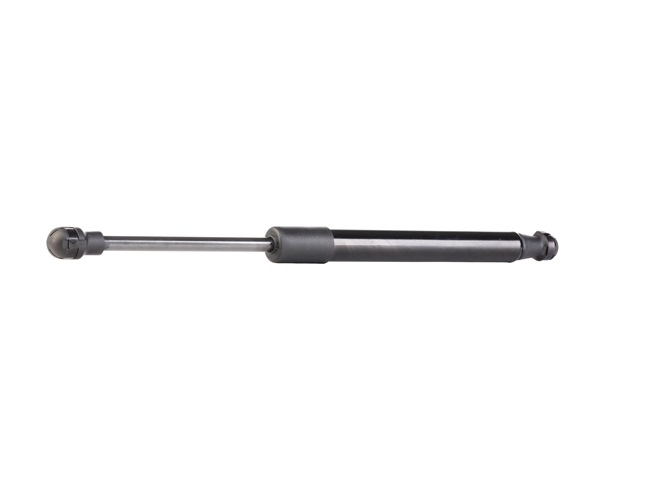 Heckklappendämpfer 219G0255 von RIDEX günstig für 11,11 € online kaufen