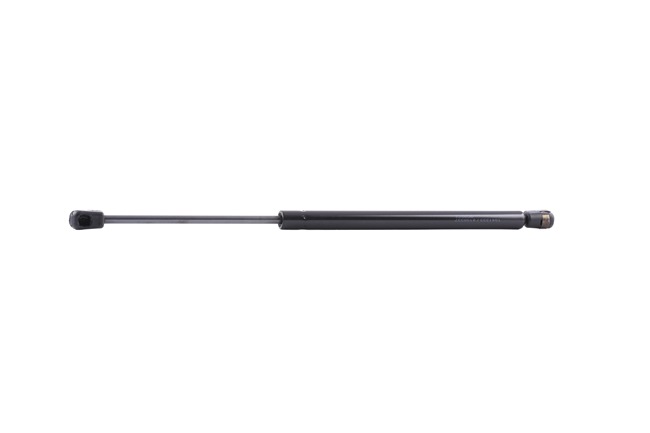SUZUKI Heckklappendämpfer von RIDEX