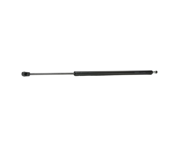 Heckklappendämpfer 219G0231