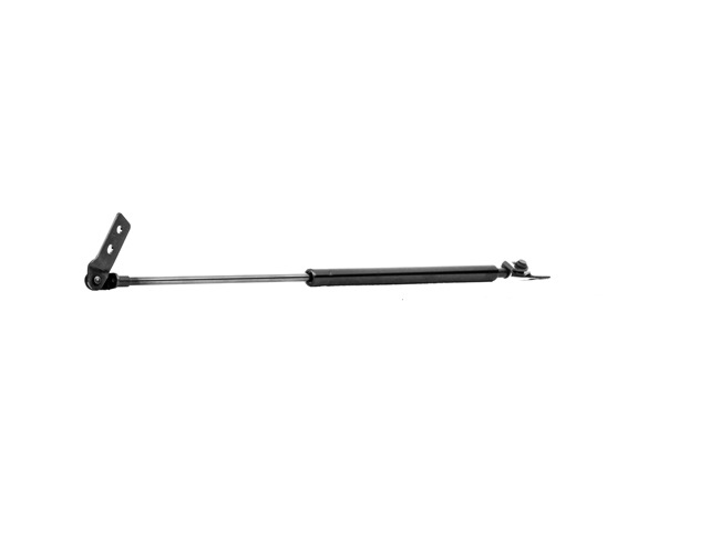 Osta Kaasujousi, tavaratila RIDEX:llä 219G0159 edullisesti hintaan 21,38 €