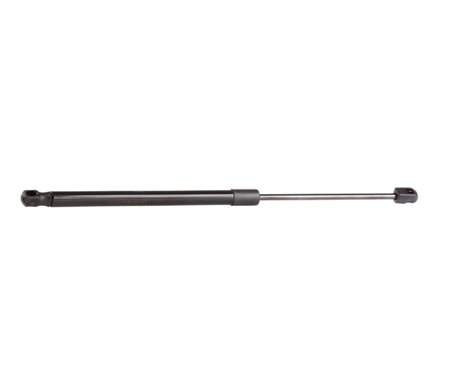 Compre Amortecedor da mala da RIDEX 219G0219 a um preço baixo por 12,76 €