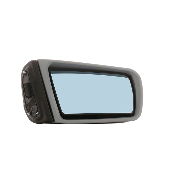 Außenspiegel 50O0025 von RIDEX günstig für 81,62 € online kaufen