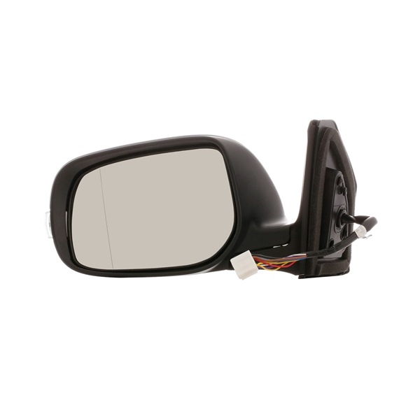 Außenspiegel 50O0048 von RIDEX günstig für 173,50 € online kaufen