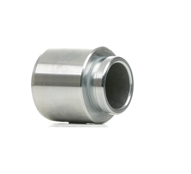 Kolben, Bremssattel 2248P0008