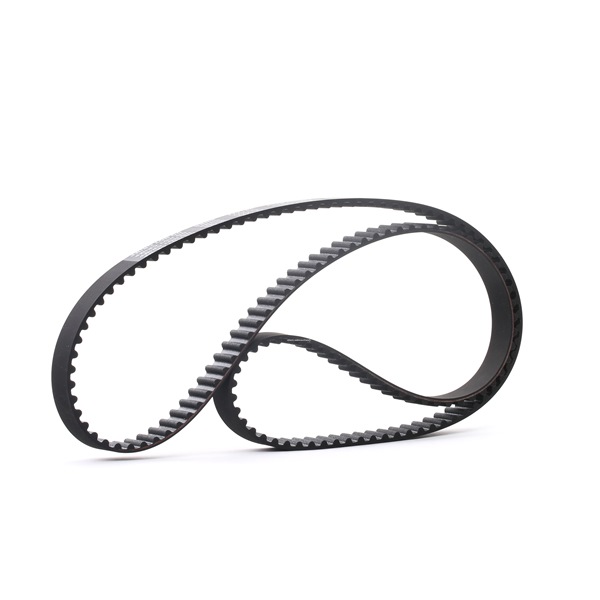 Acquista online STARK Cinghia dentata Art.: SKTIB-0780208
