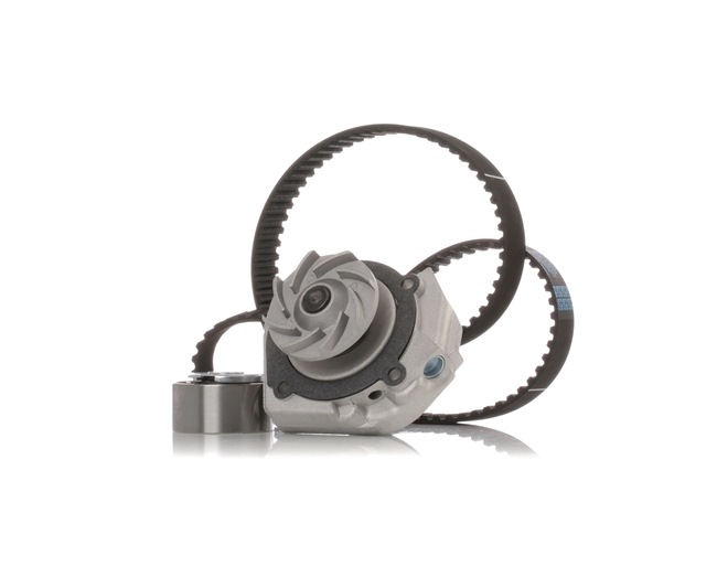 Achetez des Kit de distribution + pompe à eau STARK SKWPT-0750148 à prix pour 74,45 €