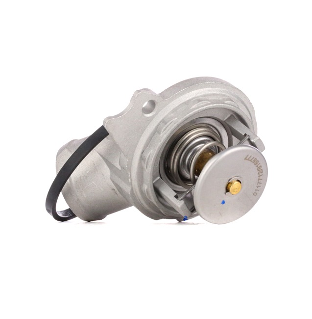 Achetez des Thermostat d'eau STARK SKTC-0560156 à prix pour 13,43 €