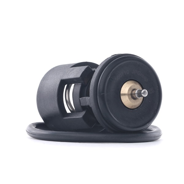 Achetez des JP GROUP Thermostat d'eau Art.: 1114600711 en ligne