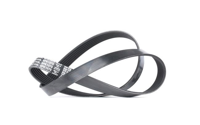 Original DAYCO Keilrippenriemen online kaufen