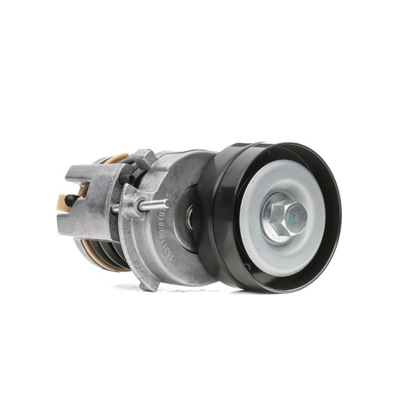 Comprar Tensor de correa poli V de RIDEX 541V0012 a bajo precio de 47,10 €