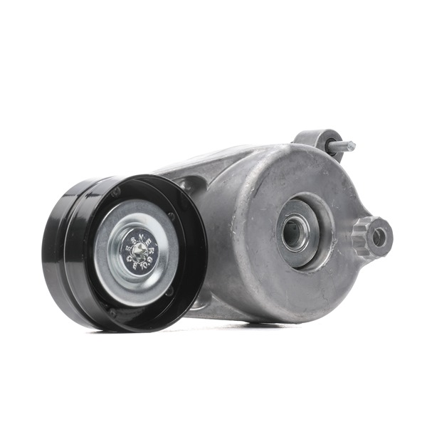 Compre Rolo tensor, correia trapezoidal estriada da RIDEX 310T0069 a um preço baixo por 30,71 €